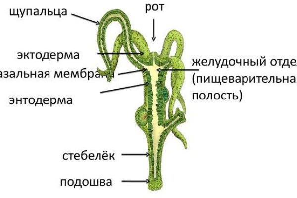 Реальные ссылки кракен