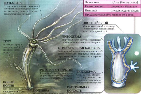 Кракен новая гидра